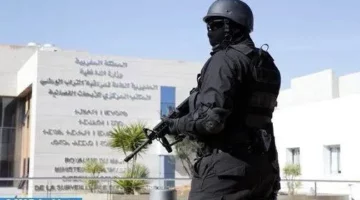 وكالات مكافحة الإرهاب تبحث سبل تعزيز الأمن في أفريقيا