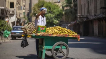 معرض فوتوغرافي يرصد «المتاهة السحرية» في القاهرة التاريخية