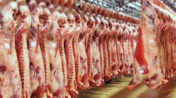 عاجل.. فتح منافذ المجمعات الاستهلاكية لطرح منتجات اللحوم للمواطنين.. تعرف على الأسعار