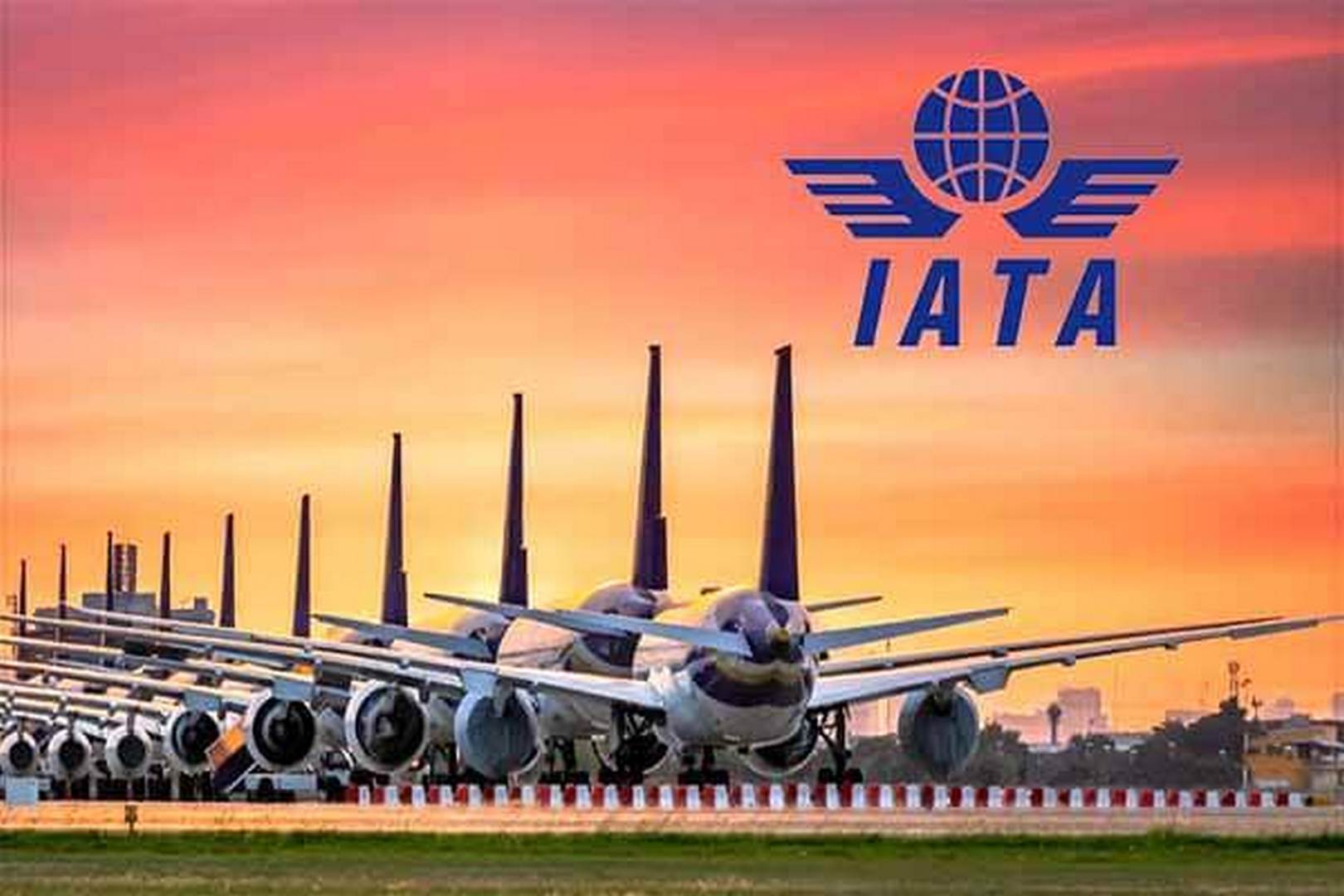 إياتا يخفض توقعاته لأرباح شركات الطيران العالمية بسبب التوترات التجارية – newnews4