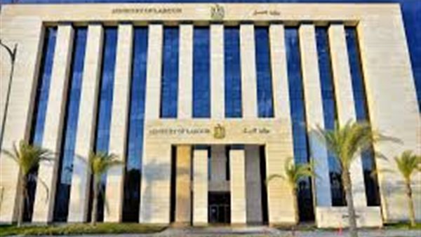 3209 فُرصة عمل جديدة في 59 شركة خاصة تنتظر الشباب