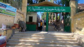 أكثر من 38 ألف زائر لـ حدائق الحيوان والأسماك خلال أول يومين للعيد