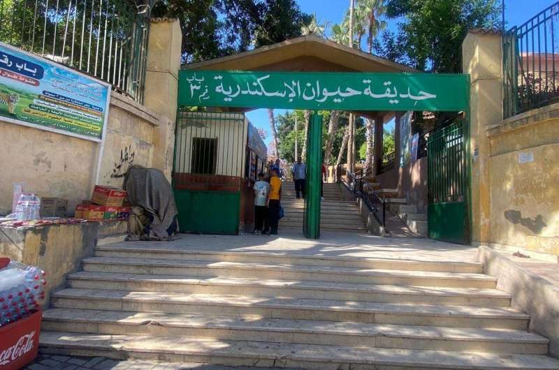 أكثر من 38 ألف زائر لـ حدائق الحيوان والأسماك خلال أول يومين للعيد