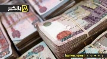 ما هي أبرز القطاعات التي تحصل على تسهيلات ائتمانية في البنوك؟