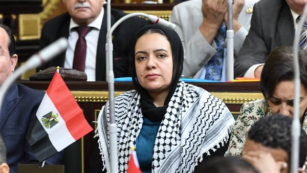 برلمانية تدين بأشد العبارات الاعتداء الإسرائيلي السافر على الجمهورية الإسلامية الإيرانية