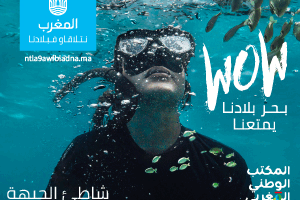 ✓ صواريخ إيران تُشرد 2000 عائلة إسرائيلية