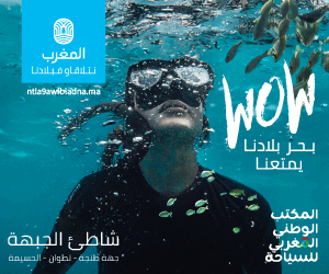 ✓ صواريخ إيران تُشرد 2000 عائلة إسرائيلية