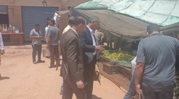 افتتاح سوق “اليوم الواحد” بمدينة أبورديس بتخفيضات تصل إلى 30% وسط إقبال جماهيري كبير