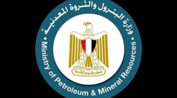 أزمة انقطاع الكهرباء في الصيف لن تتكرر (فيديو)
