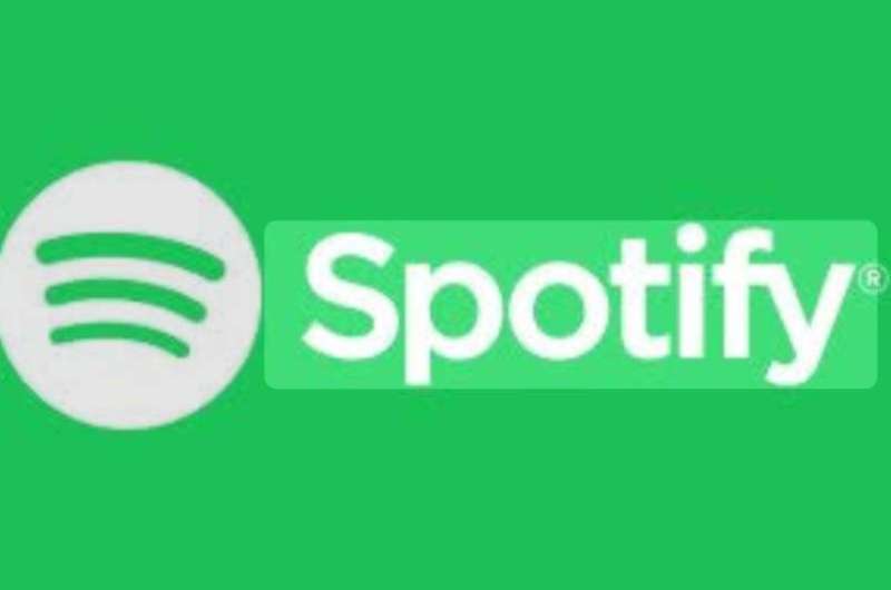 نمو أرباح الفنانين المصريين بنسبة تفوق 100٪ في 2024