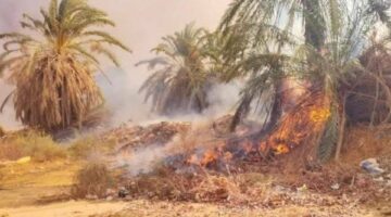 إخماد حريق في مزرعة نخيل قرب محطة كهرباء بمدينة موط بالوادي الجديد