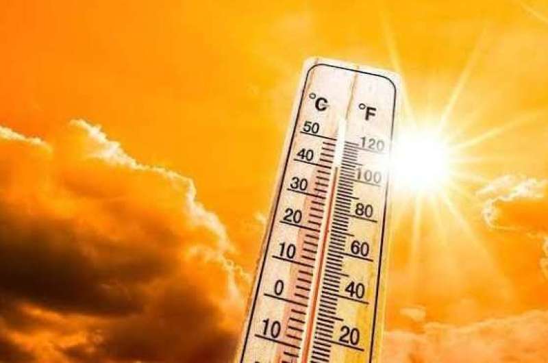 شبورة صباحية وحر.. الأرصاد تكشف تفاصيل الطقس