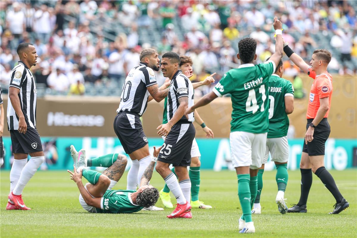 فيديو | بالميراس يهزم بوتافوجو ويتأهل إلى ربع نهائي كأس العالم للأندية