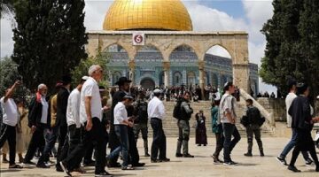 نحو ألف مستوطن إسرائيلي يقتحمون المسجد الأقصى  