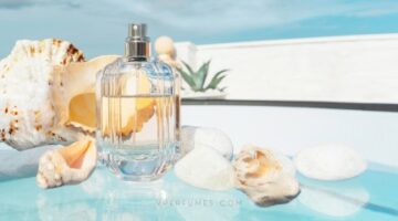 عطور صيفية تُجسّد اللحظة: دليلك لاختيار العطر المثالي لأناقتك الصيفية
