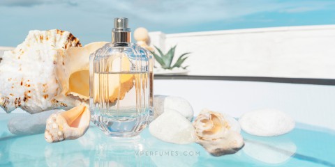 عطور صيفية تُجسّد اللحظة: دليلك لاختيار العطر المثالي لأناقتك الصيفية