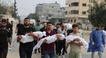 غزة تباد.. إسرائيل تقتل 59 فلسطينيا الأحد بينهم أطفال ونساء وباحثون عن الطعام في عدة مناطق في القطاع