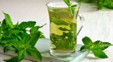 هل شرب النعناع بعد الأكل مفيد؟ إليك ما يفعله في الجسم