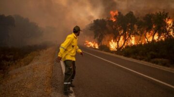 المغرب.. تحذير من اندلاع حرائق غابات بعدة أقاليم في الأيام المقبلة
