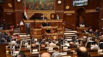 عاجل.. مجلس الشيوخ يفتح ملف التنمر والعنف والتحرش قبل إنهاء دور الانعقاد الأخير