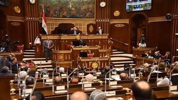 عاجل.. مجلس الشيوخ يفتح ملف التنمر والعنف والتحرش قبل إنهاء دور الانعقاد الأخير
