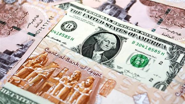 سعر الدولار أمام الجنيه في البنوك المصرية اليوم الإثنين 2-6-2025