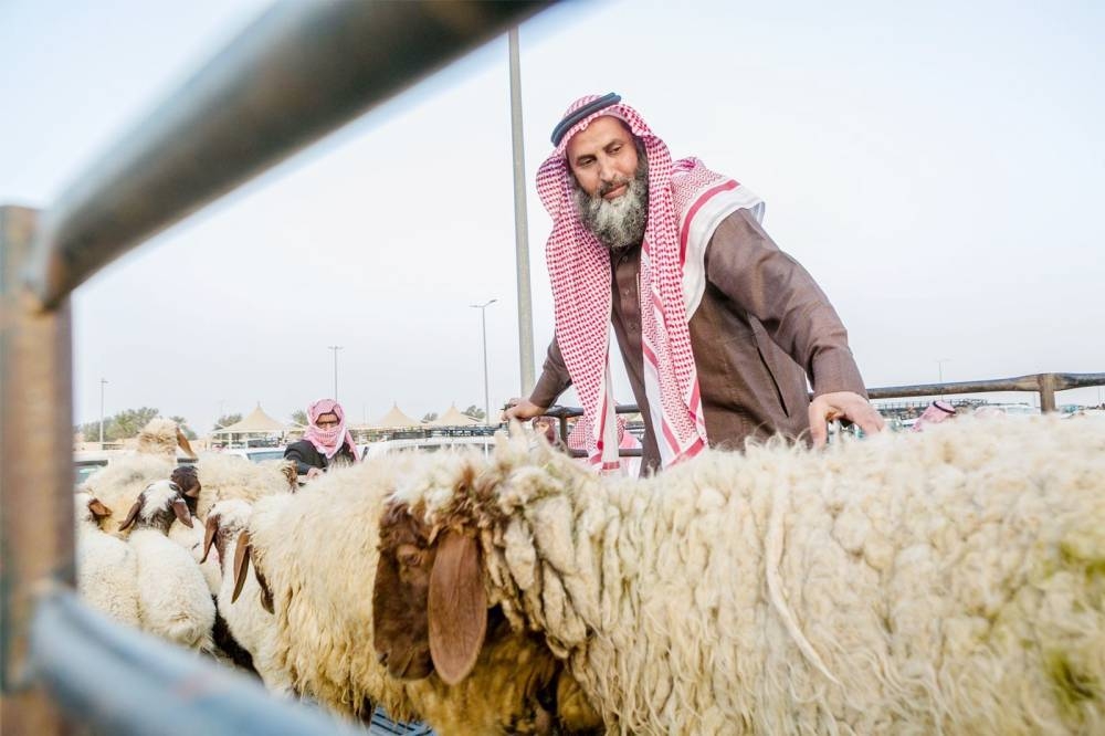 «الأضاحي» تدخل السوق الرقمية – أخبار السعودية