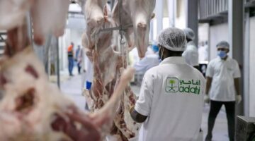 مشروع السعودية للإفادة من الهدي والأضاحي يُعلن جاهزيته التشغيلية للحج – أخبار السعودية