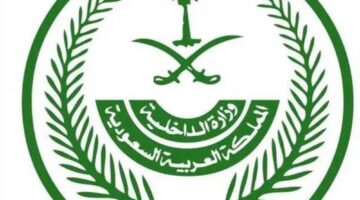 «الداخلية» تصدر دليلاً إرشادياً لتسهيل أداء مناسك الحج لهذا العام 1446 – أخبار السعودية