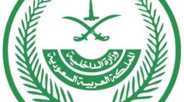 معاقبة 17 شخصاً نقلوا 109 مخالفين لا يحملون تصاريح الحج – أخبار السعودية