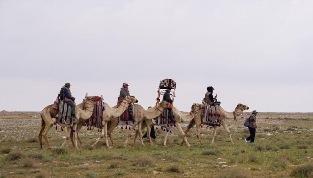 طريق درب زبيدة.. طريق الحجاج التاريخي من الكوفة إلى حائل – أخبار السعودية