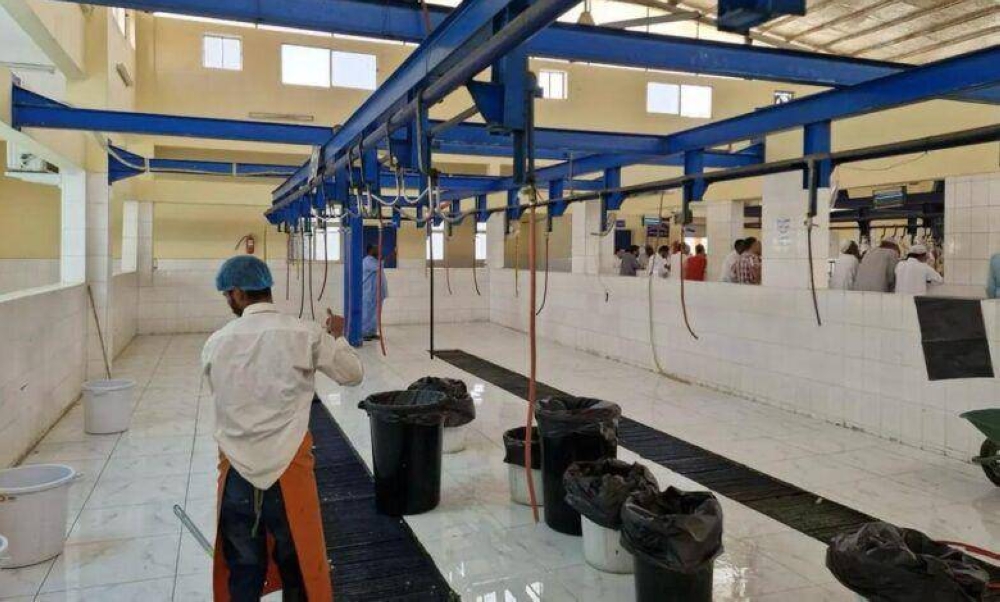 6,594 أضحية في مسالخ نجران خلال عيد الأضحى – أخبار السعودية