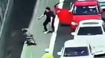 الصين.. خروف شارد يربك المرور 40 دقيقة – أخبار السعودية
