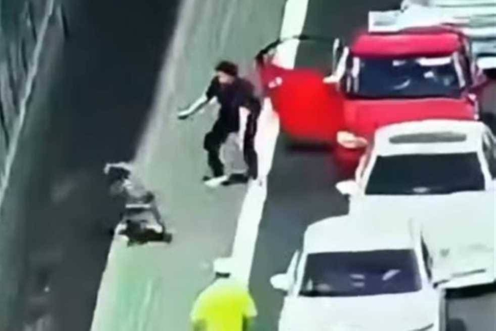 الصين.. خروف شارد يربك المرور 40 دقيقة – أخبار السعودية