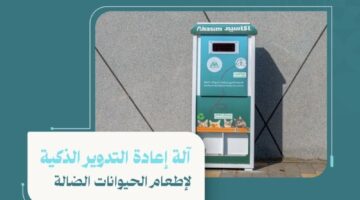 آلة ذكية في شوارع حائل.. لخدمة الحيوانات الضالة – أخبار السعودية