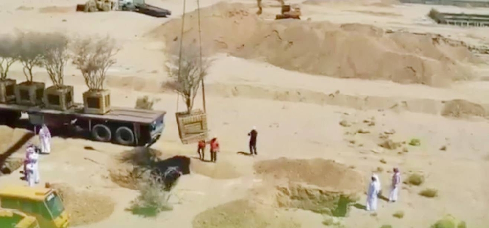 نقل 5 أشجار معمرة من مشروع تجاري إلى أراضٍ نباتية – أخبار السعودية
