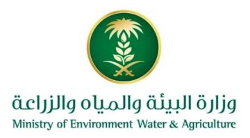 «البيئة» تشدد على النظافة والتهوية ومنع تراكم الأتربة في أسواق الخضار – أخبار السعودية