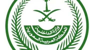 تنفيذ حكم القتل تعزيراً في 4 جناة بتبوك – أخبار السعودية