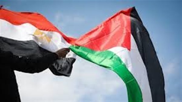 التحركات المصرية تجاه القضية الفلسطينية نموذج للدبلوماسية الفاعلة