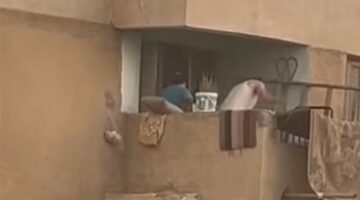 عاجل.. القبض على والدي الطفل المعتدى عليه في شرفة منزله بالعاشر من رمضان