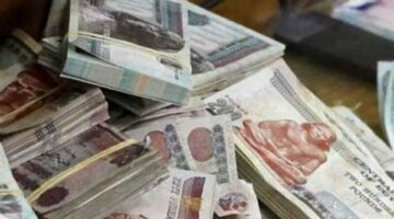 لو معاك 100 الف جنيه.. شوف الفايدة بتاعتهم هتوصل لكام لو حطيتهم في شهادة إدخار