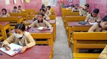 نتيجة الصف الرابع الابتدائي الاسكندرية بالاسم فقط