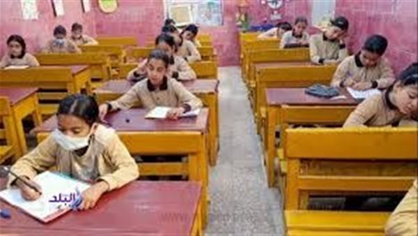 نتيجة الصف الرابع الابتدائي الاسكندرية بالاسم فقط