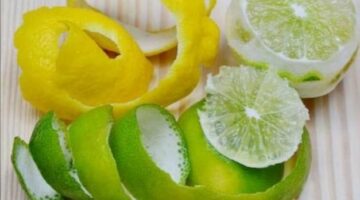 موسمه بدأ وفوائده لا تعد ولا تحصى.. قشر الليمون يقوي المناعة ويخفض الكوليسترول