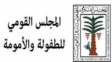 الطفولة والأمومة يعقد ورشة عمل حول حماية الأطفال من مخاطر الإنترنت