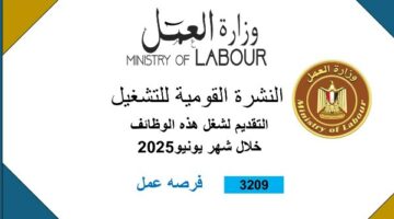 3209 فرص عمل في 59 شركة خاصة تنتظر شباب 14 محافظة