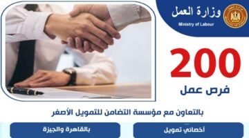 200 فرصة عمل لشباب القاهرة والجيزة.. مواعيد وأماكن التقديم