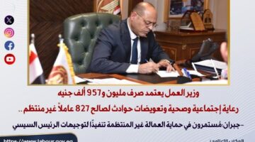 صرف 2 مليون جنيه رعاية وتعويضات لـ 827 عاملًا غير منتظم