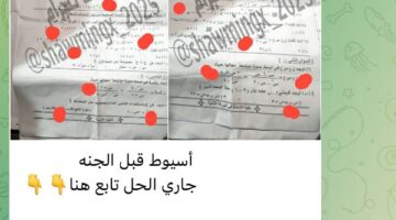 تداول امتحانات الشهادة الإعدادية على جروبات الغش بتليجرام لليوم الثالث