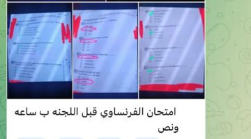 شاومينج يزعم تسريب فرنساوي الثانوية العامة قبل توزيعه باللجان ..والتعليم:ده مش الامتحان